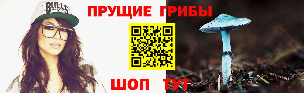 Псилоцибиновые грибы прущие грибы  Галлюциногенные грибы Cubensis  Вход с VPN  наркота  Бузулук 